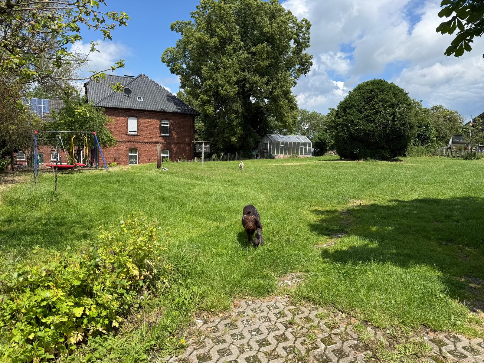 Blick auf die grüne Wiese am Hof-Dahlhoff in Fröndenberg